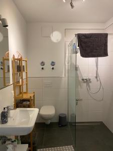 y baño con ducha, aseo y lavamanos. en Exklusive Ferienwohnung 5km vom Centrum, en Bremen