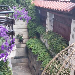 a garden with purple flowers and plants on a wall at Guest House Planinski Zdravets in Bansko