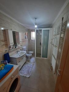 a bathroom with a sink and a toilet and a shower at Apartman Dakovic in Zlatište