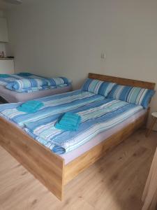 two beds in a room with blue pillows on them at Appartement Georg in Sankt Englmar