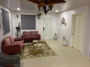 a living room with two couches and a rug at 1 Bed Apartment - Sleeps 2 - Parking - Wifi in Georgetown