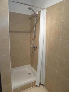 Koupelna v ubytování Apartments Orhideja