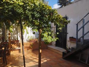 a small tree in front of a house with a door at Sweet Little House in Acre