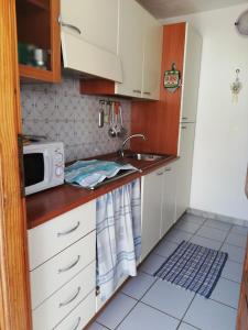 kuchnia ze zlewem i mikrofalówką w obiekcie Il Gabbiano Blu - La Villetta w mieście Marettimo