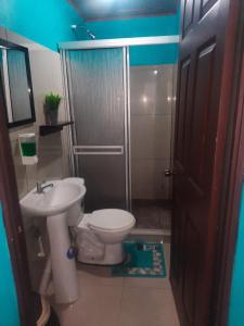 ein Bad mit einem WC, einem Waschbecken und einer Dusche in der Unterkunft Apartamentos Caimán Tortuguero in Tortuguero