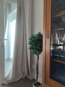 Fotografie z fotogalerie ubytování La Casa di Stefania LOFT v destinaci Pollutri