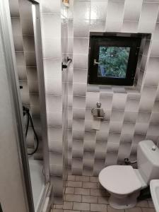 ein Bad mit WC und ein TV an der Wand in der Unterkunft Na samotě u lesa in Libňatov