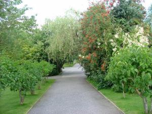 a walking path with trees and flowers on it at Cleriach Cottage in Milton of Auchinhove