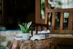 珀尼达岛Kurnia Guest House & Spa的相册照片