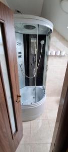 a shower in a bathroom with a glass door at Pensiunea ATLANTIS in Moisei