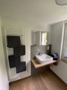 ein Bad mit einem Waschbecken und einem Spiegel in der Unterkunft Bergschlösschen Edersee in Waldeck