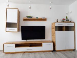 uma sala de estar com televisão e espelho em Alexa Apartament em Târgu-Mureş