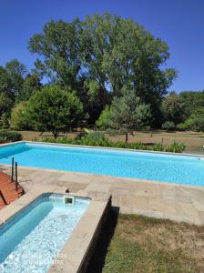una gran piscina en un patio en Domaine de l'Orfraie en Saint-Juire-Champgillon