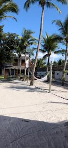 boisko do siatkówki na plaży z palmami w obiekcie Vila Bless 4 bedroom Vila with pool, garden and beach tennis court w mieście Preá