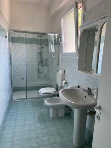 W łazience znajduje się prysznic, toaleta i umywalka. w obiekcie Haus and Beach w Brenzone sul Garda