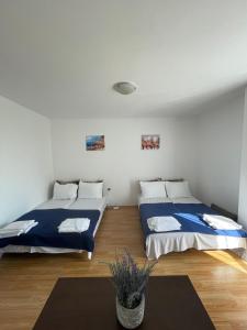 een slaapkamer met 2 bedden en een tapijt bij Villa Flora SP apartments in Ravda