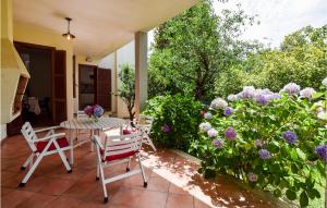Κήπος έξω από το Cozy Home In Anguillara Sabazia