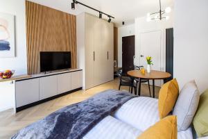 a living room with a couch and a tv and a table at Hillside7 Micro-Apartment 16 in Bielsko-Biała