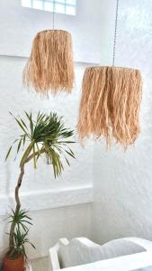 two pendant lights and a plant in a room at VV House Quy Nhon in Quy Nhon