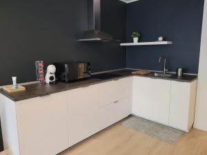 Η κουζίνα ή μικρή κουζίνα στο Milano - San Siro Apartment +13 φωτογραφίες