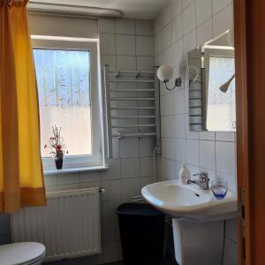 uma casa de banho com um lavatório, um WC e uma janela. em Appartement De Wal em Tongeren