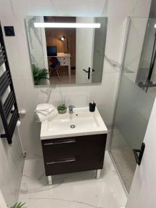 La salle de bains est pourvue d'un lavabo, d'un miroir et d'une douche. dans l'établissement Centre de Juan les pins 100m plages Easy Check-in, à Juan-les-Pins
