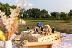 uma mesa de piquenique com comida e garrafas de vinho em Le Ranch Kabahina Golf em Saint-Geours-de-Maremne