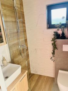 Kúpeľňa v ubytovaní Kuća za odmor Malia sa Spa Hot Tub Jacuzzijem - Nice and Cozy - Free tickets to all City attractions