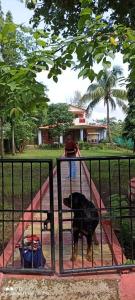 和主人一起入住Weekend Villa at Nature's Lap (Malshej Ghat)的宠物