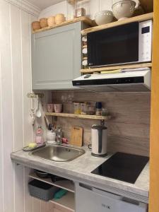 uma cozinha com um lavatório e um micro-ondas em Renthouse Guest Apartment ALICE em Paide