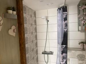 Uma casa de banho em Renthouse Guest Apartment ALICE