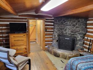 sala de estar con chimenea de piedra y TV en Chinook Cabins & RV Park, en South Fork