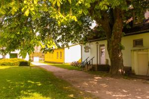 a tree in front of a building with a sidewalk at Pension Gestüt Lindenhof in Templin