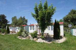 索嫩布爾的住宿－AZUR Camping Schwäbische Alb，小屋设有野餐桌,庭院内种有树木