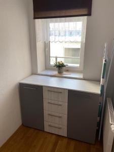 Kuchyň nebo kuchyňský kout v ubytování Apartsee Zell am See