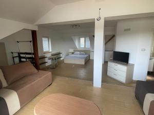 ein Wohnzimmer mit einem Sofa und einem Bett in der Unterkunft Vila Odmor na Dunavu in Beočin