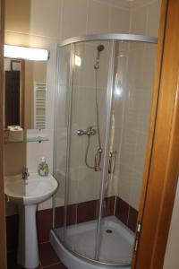 a bathroom with a shower and a sink at Pensiunea Muntele Alb in Horezu +32 photos