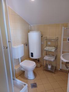 Koupelna v ubytování Apartman Alen + 9 fotografií