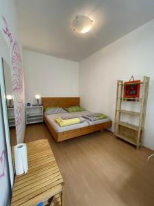 Fotografie z fotogalerie ubytování City Apartment and rooms ve Vídni + 37 fotografií