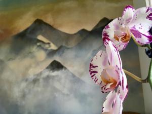 Fotografie z fotogalerie ubytování El Cau de Ribes v destinaci Ribes de Freser