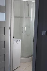 a white bathroom with a shower and a toilet at Pod Neptunem in Międzyzdroje