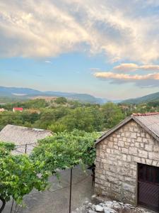 Blick auf einen Weinberg und ein Gebäude mit Trauben in der Unterkunft Kuća za odmor in Nikšić