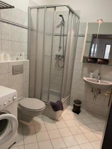 a bathroom with a shower and a toilet and a sink at Apartsee Zell am See in Zell am See