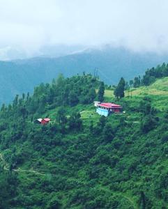 two houses on top of a green hill at LaCliff Nature Home in Dhanaulti