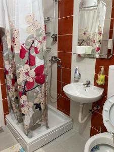 a bathroom with a shower curtain and a sink at STAN NA DAN-LOZNICA 2 in Loznica