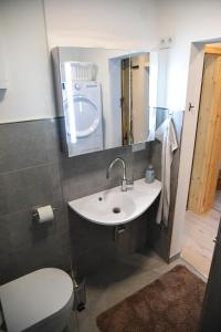 bagno con lavandino, servizi igienici e specchio di Roter Beer a Sankt Andreasberg