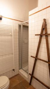 a bathroom with a shower and a toilet at I Salici Agriturismo in Badia Agnano