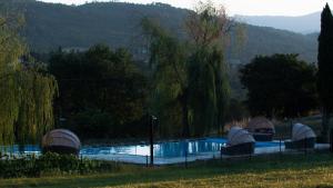 Bazén v ubytovaní I Salici Agriturismo alebo v jeho blízkosti