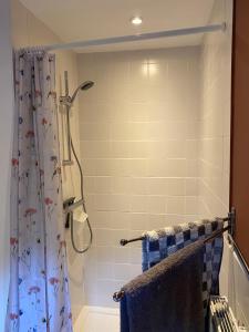 baño con ducha con cortina azul en Loft in der alten Spinnerei en Spechtholzhock