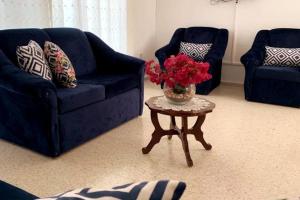 Boghaz的住宿－Villa Splash，客厅配有2张蓝色的沙发和带鲜花的桌子